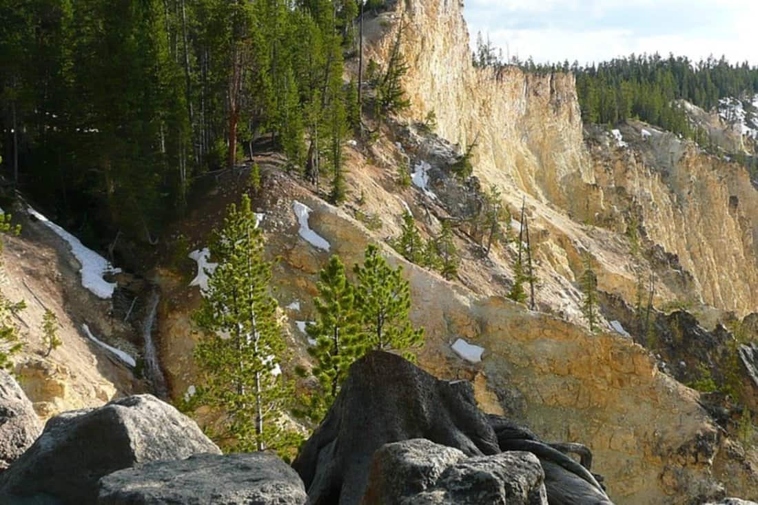 Yellowstone National Park in spring