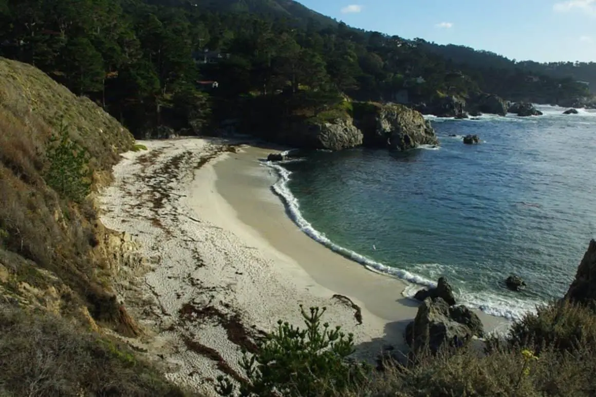 Point Lobos vs Big Sur Climates